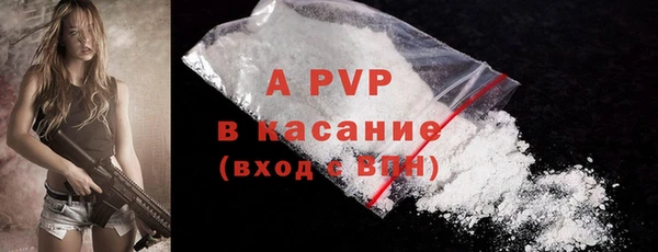 PSILOCYBIN Новодвинск