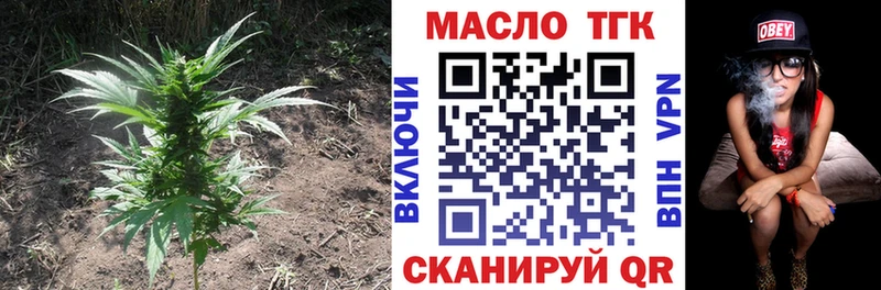 omg зеркало  Юрьев-Польский  Дистиллят ТГК гашишное масло 