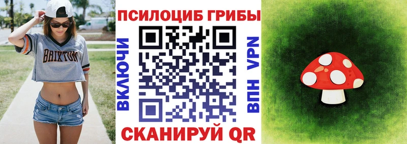Галлюциногенные грибы мицелий  сколько стоит  Юрьев-Польский 