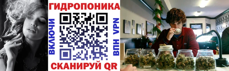 где продают наркотики  Юрьев-Польский  Бошки марихуана Bruce Banner 